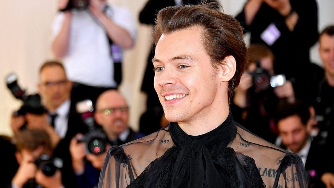 Harry Styles promette di camminare attraverso il fuoco in Adore You