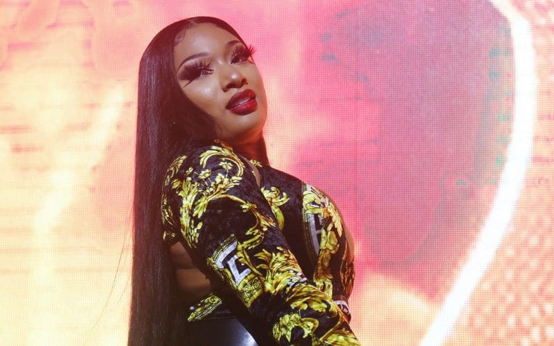 Megan Thee Stallion /Cassidy Sparrow/Getty Images for MAXIM