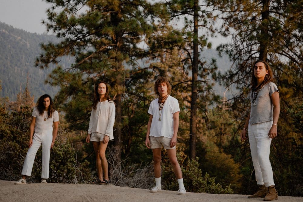 Greta Van Fleet - intervista - foto di Matthew Daniel Siskin