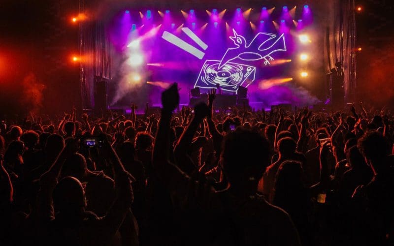 Viva! Festival