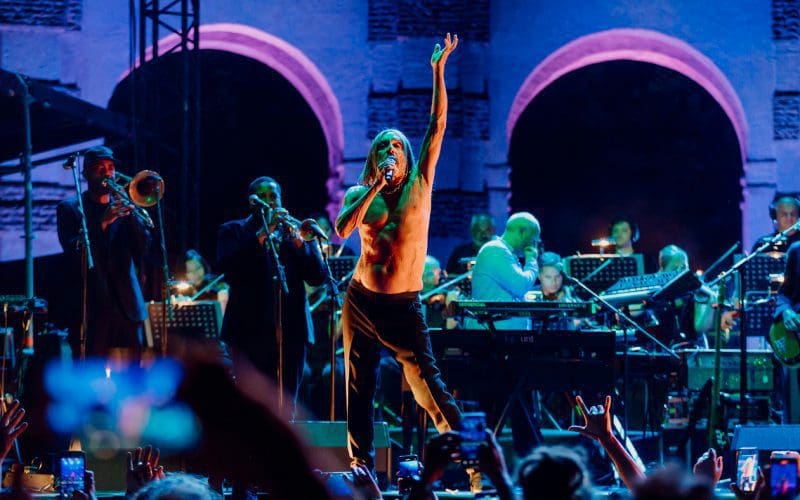 Iggy Pop - Mantova - foto di foto di Riccardo Trudi Diotallevi - 1